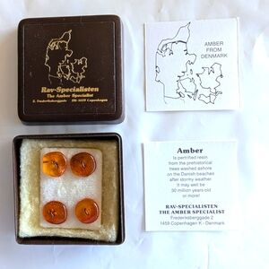 Genuine Amber Buttons (4)